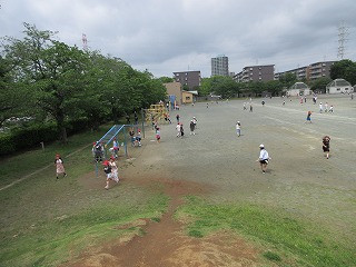 IMG_1127