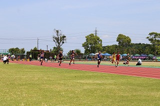 IMG_7346