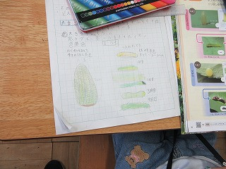 IMG_1667