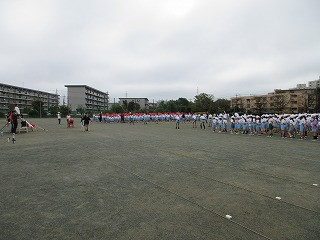 IMG_4782