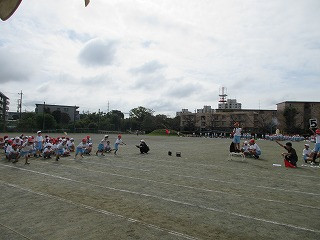 IMG_4928